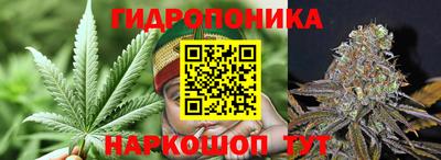 прущий лед Славгород
