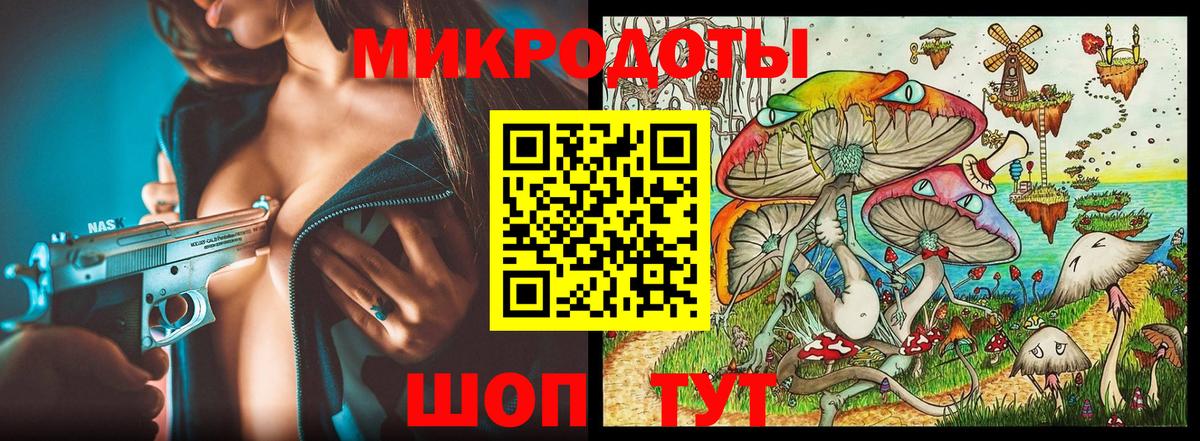 Псилоцибиновые грибы Psilocybe Новоалександровск
