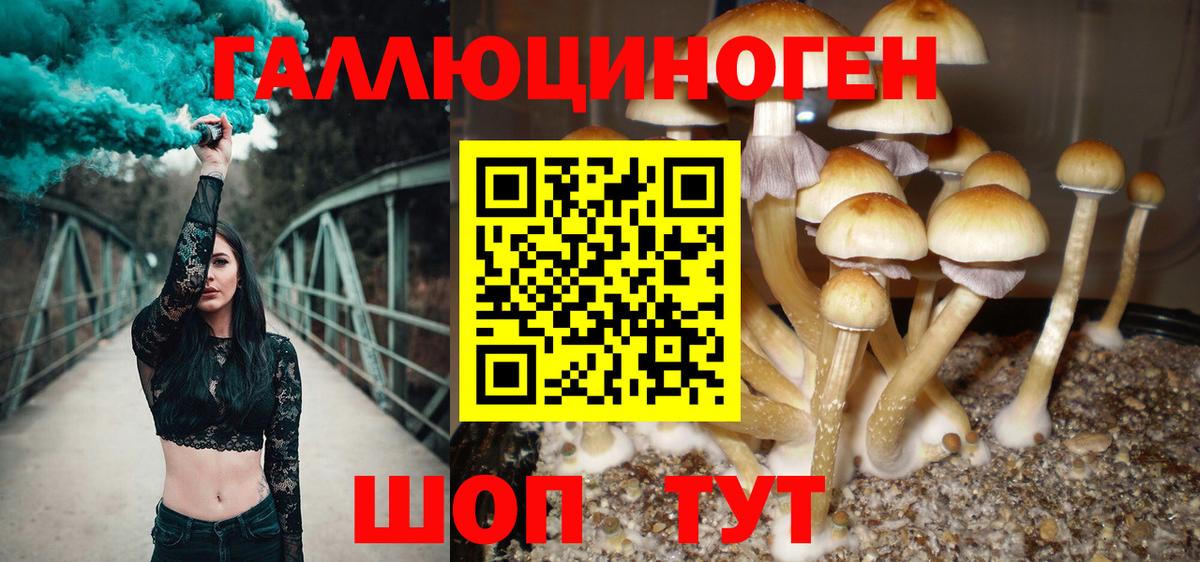 Новоалександровск  Галлюциногенные грибы MAGIC MUSHROOMS  Галлюциногенные грибы мицелий  Вход с VPN 